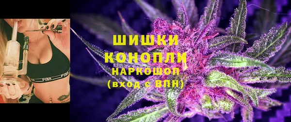 стафф Ладушкин