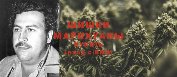 стафф Ладушкин