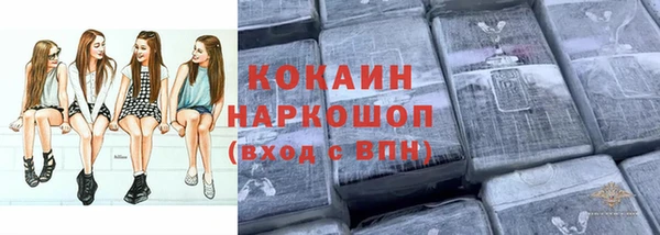стафф Ладушкин