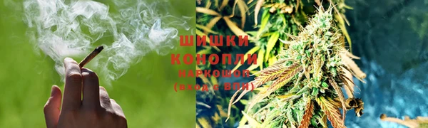стафф Ладушкин